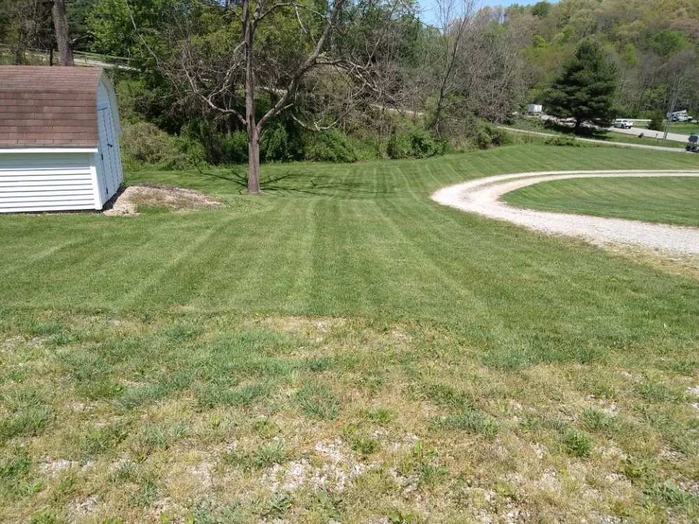 Reliable yard cleanup service for outdoor upgrades across Buckeye Lake, OH - Marine Vet & Personal Lawn Care