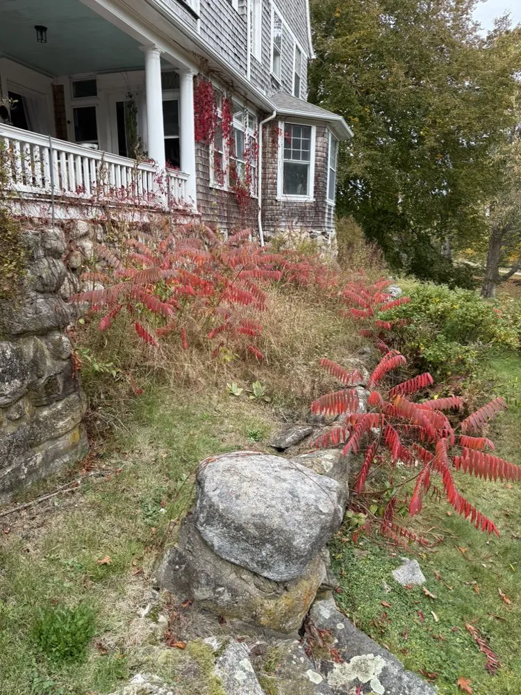 Local residential landscaping in Castine, ME - Mariner Property Services