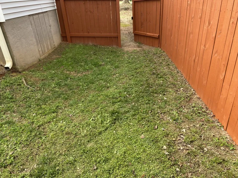 Trusted yard cleanup service experts serving Lilburn, GA - Marinez Mowning