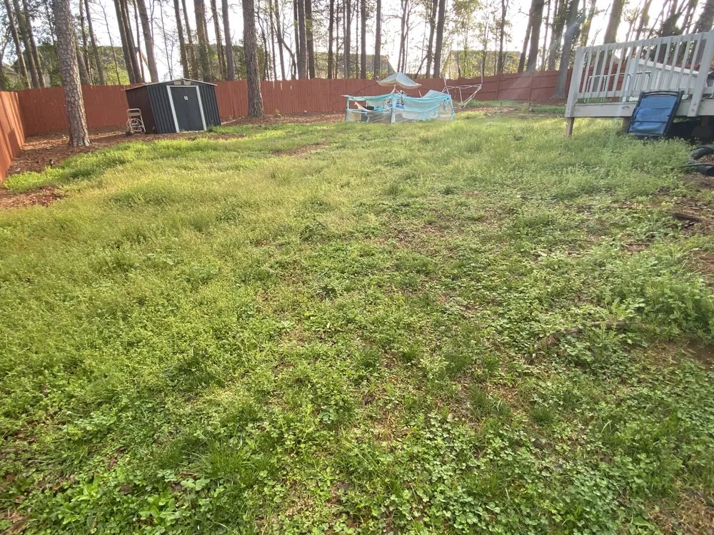 Expert landscape design for beautiful yards in Lilburn, GA by Marinez Mowning