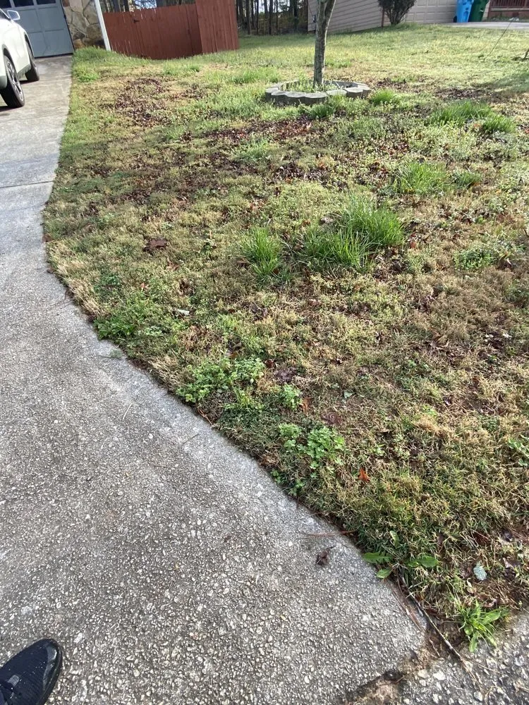 Trusted outdoor landscaping in Lilburn, GA by Marinez Mowning