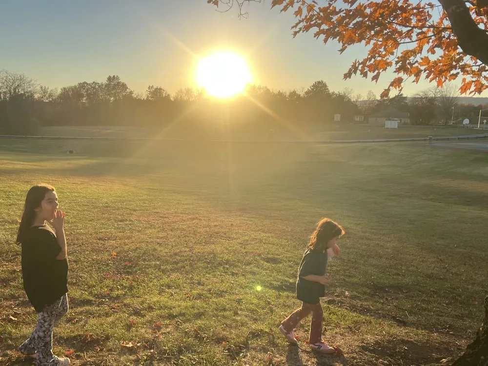 Local yard maintenance in Gainesville, VA - Maringo Landscaping