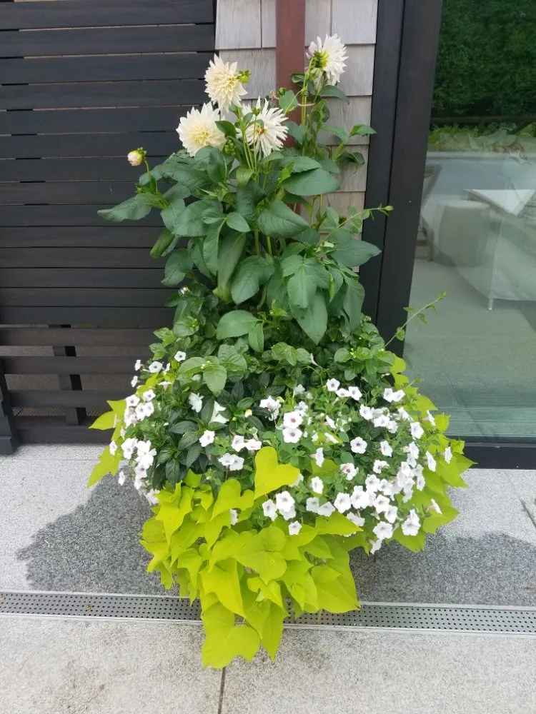 Custom outdoor landscaping experts serving Salem, MA - Marini Landscaping