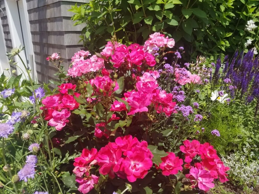 Expert landscaping services with custom design across Salem, MA - Marini Landscaping