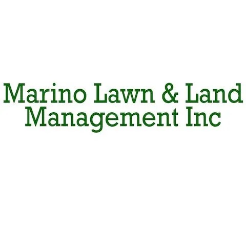 Custom lawn mowing service in Plano, IL - Marino Lawn & Land Management