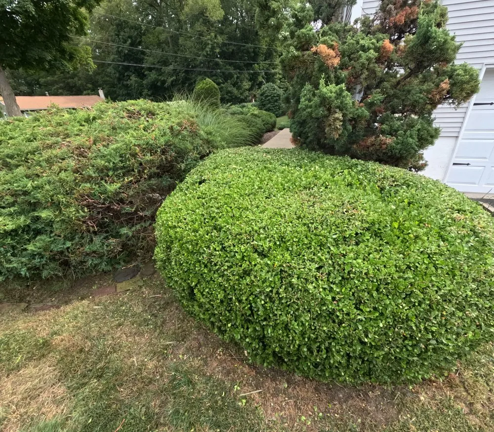 Affordable lawn mowing service experts serving Hopewell Junction, NY - Marino's Landscaping