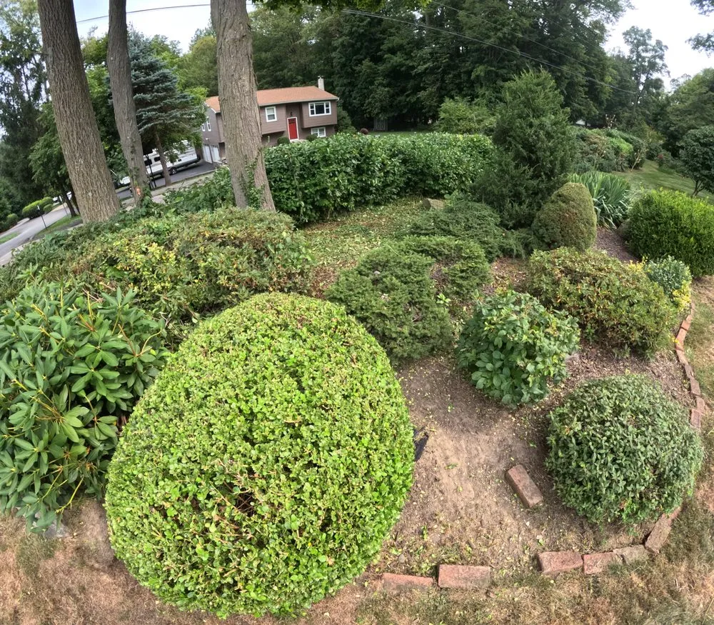 Trusted yard cleanup service in Hopewell Junction, NY by Marino's Landscaping