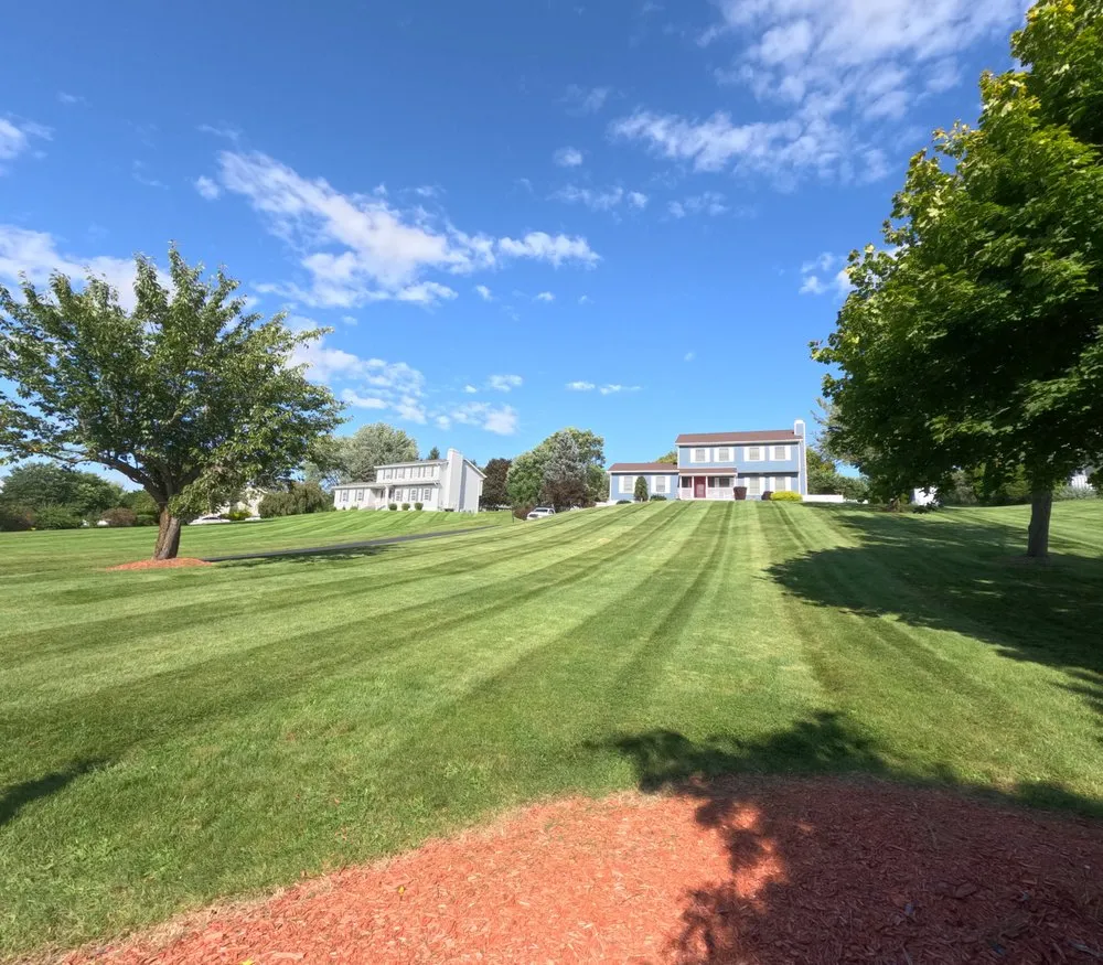 Expert yard cleanup service in Hopewell Junction, NY by Marino's Landscaping