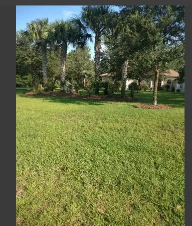 Reliable yard maintenance in Dunnellon, FL by Marino's Lawn Service