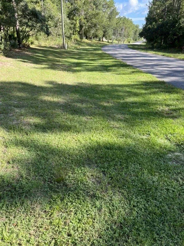 Local landscape design for residential properties in Dunnellon, FL by Marino's Lawn Service