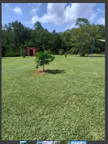 Expert outdoor landscaping for homes across Dunnellon, FL - Marino's Lawn Service