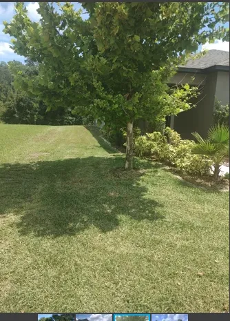 Top-rated yard cleanup service in Dunnellon, FL - Marino's Lawn Service