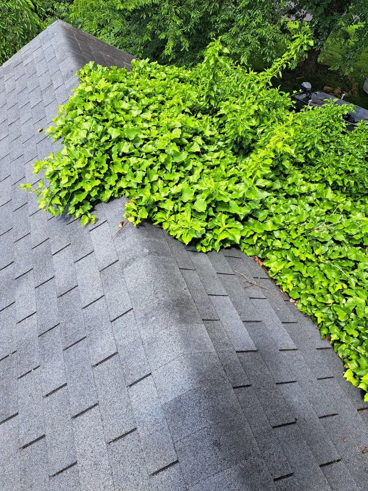 Professional lawn mowing service for outdoor upgrades in Levittown, PA by Marinos Property Pros