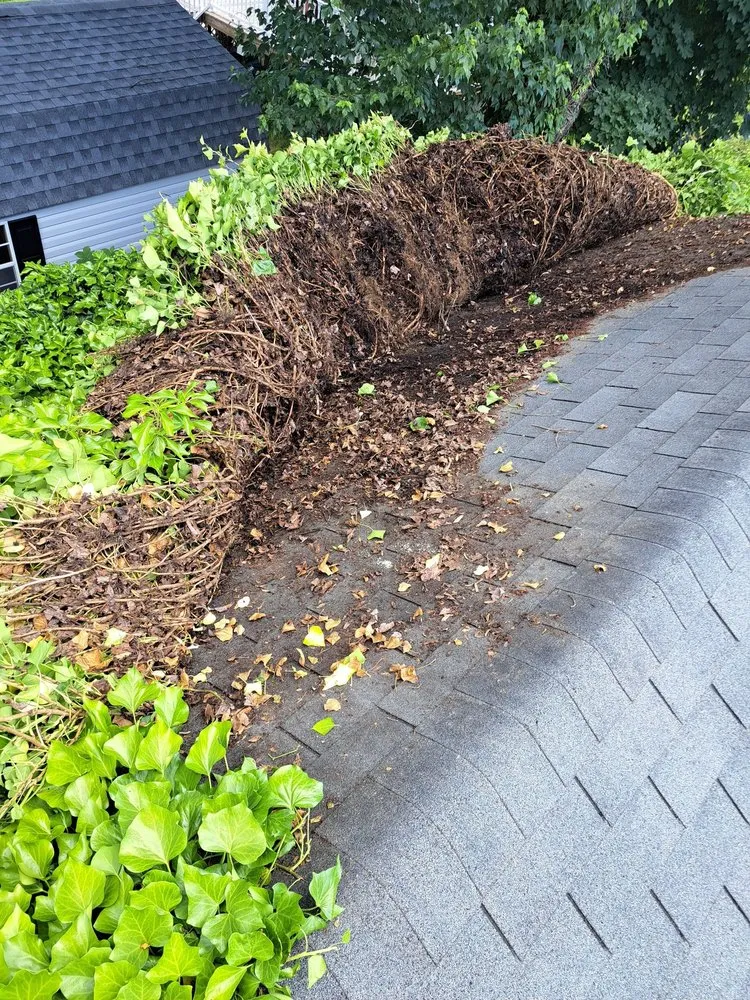 Local outdoor landscaping in Levittown, PA - Marinos Property Pros