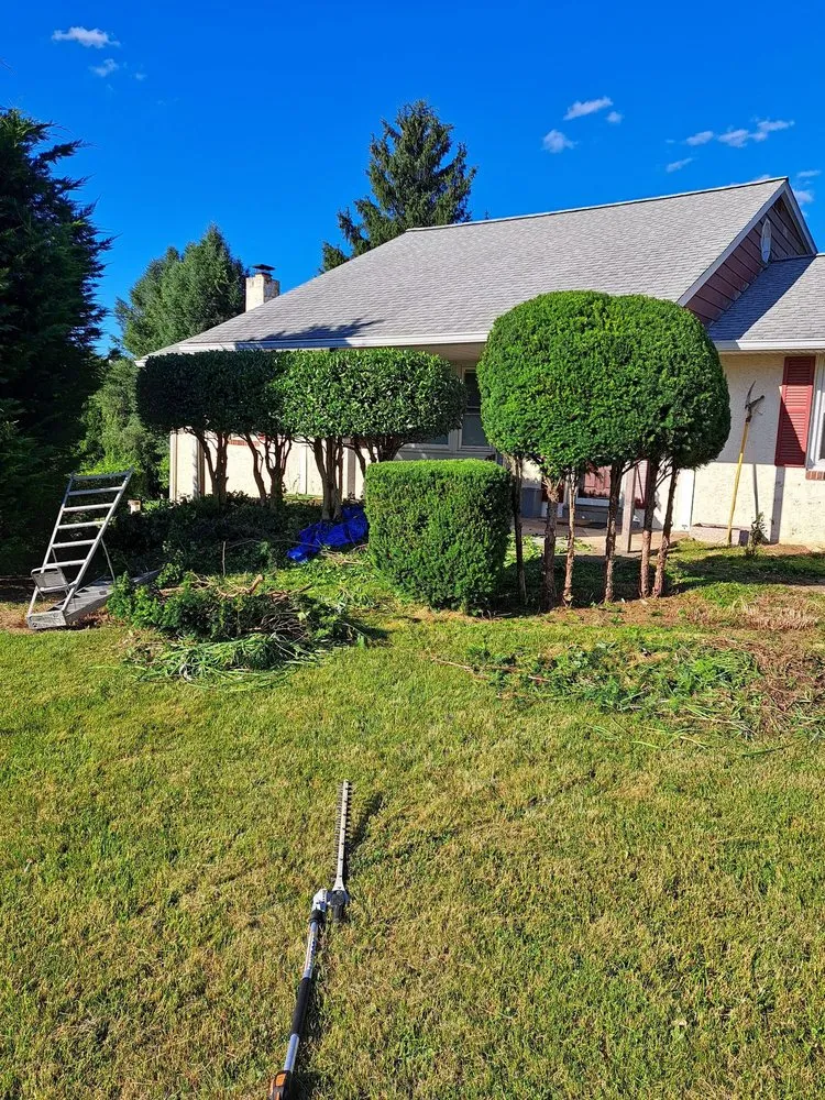 Professional yard cleanup service in Levittown, PA - Marinos Property Pros