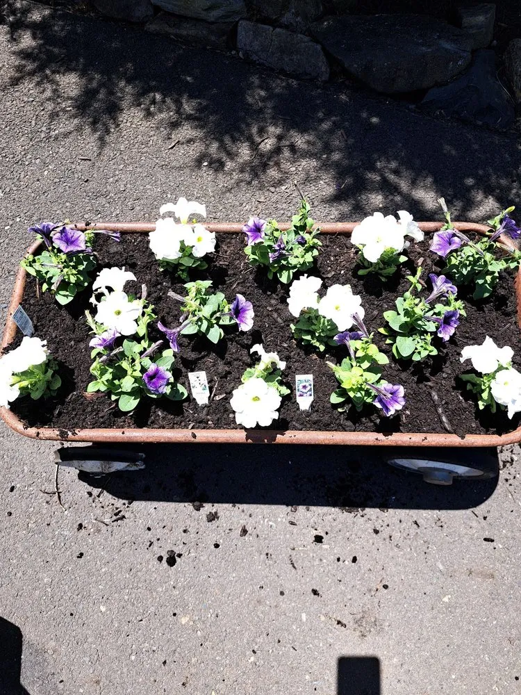 Top-rated yard maintenance with custom design across Levittown, PA - Marinos Property Pros