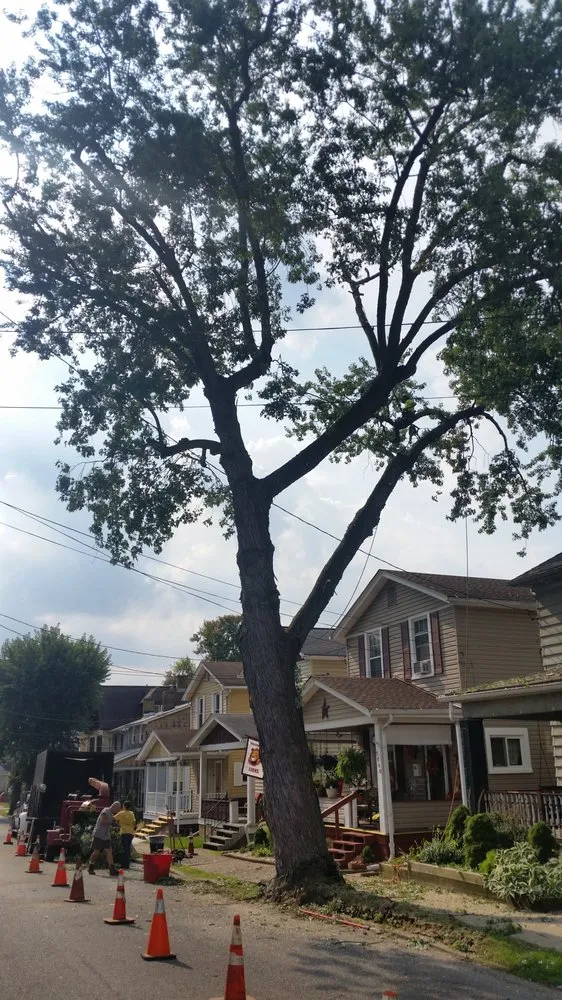 Trusted outdoor landscaping for homes in Pittsburgh, PA by Marino's Tree Service