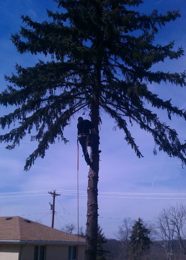 Local residential landscaping for year-round maintenance across Pittsburgh, PA - Marino's Tree Service