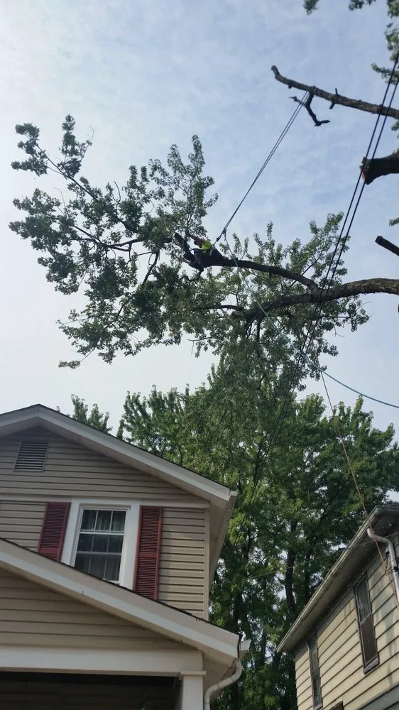 Professional lawn care service for homes in Pittsburgh, PA by Marino's Tree Service