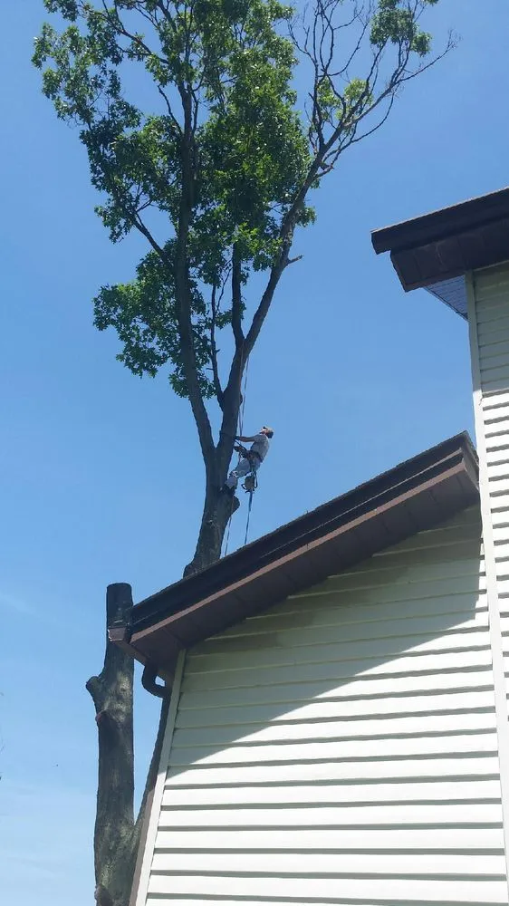 Top-rated landscaping services with custom design in Pittsburgh, PA by Marino's Tree Service