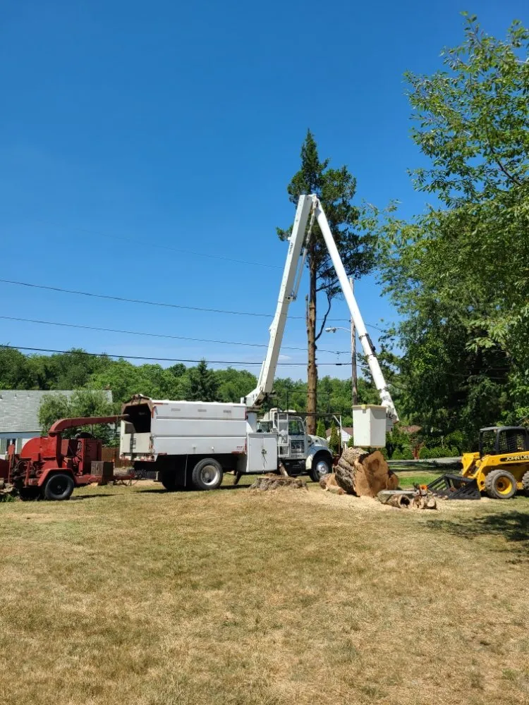 Reliable yard maintenance with custom design in Pittsburgh, PA by Marino's Tree Service