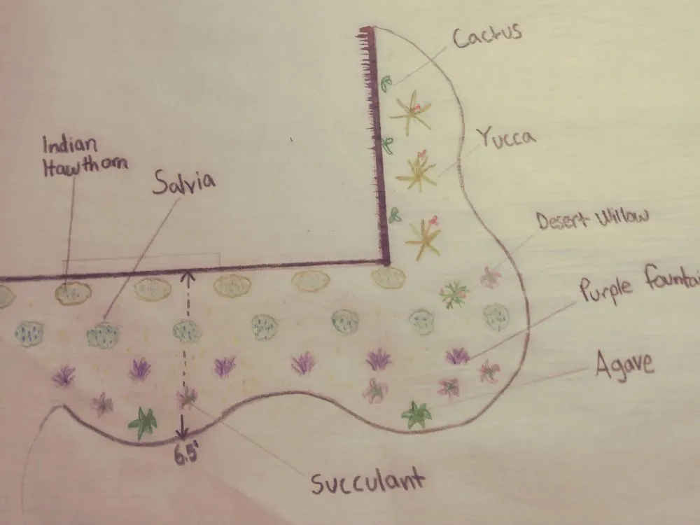 Custom yard cleanup service in Dallas, TX by Marin's