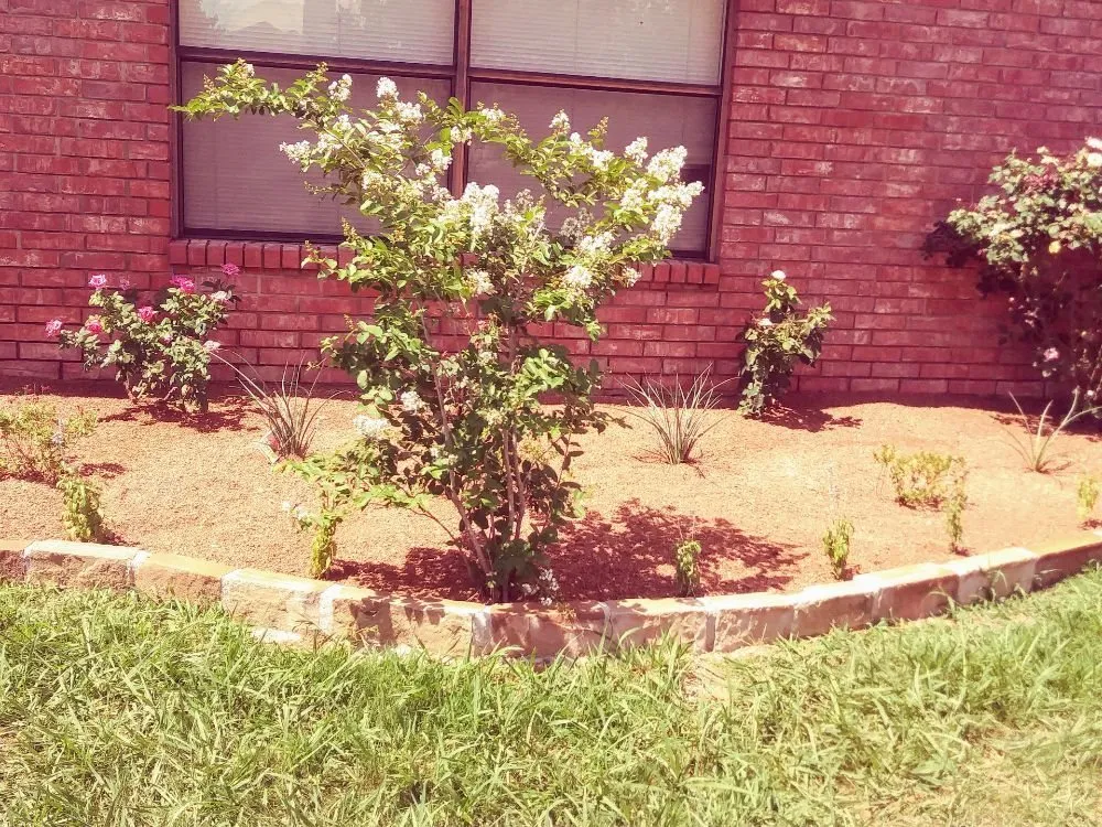 Affordable landscape installation experts serving Dallas, TX - Marin's