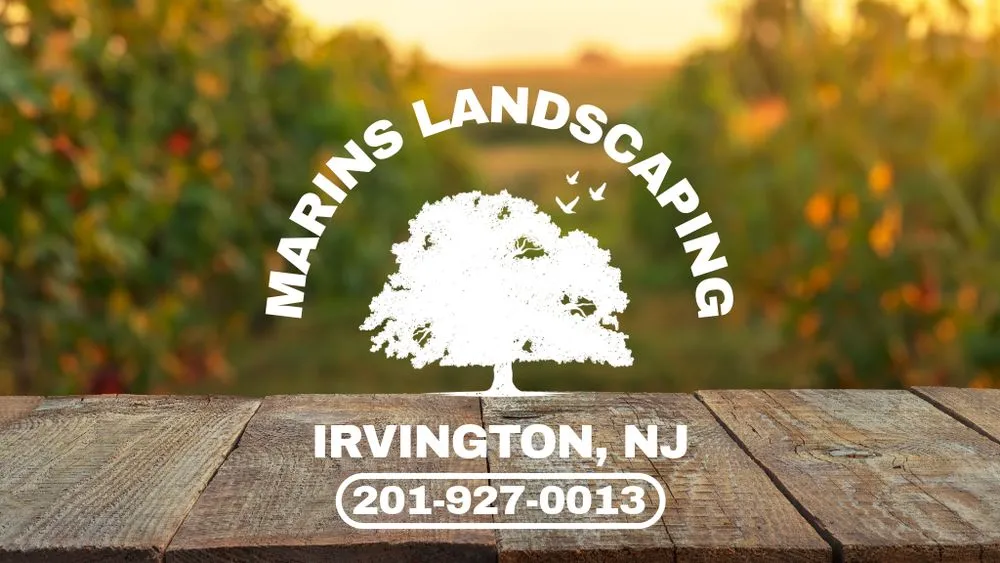Expert outdoor landscaping in Irvington, NJ by Marins Landscaping