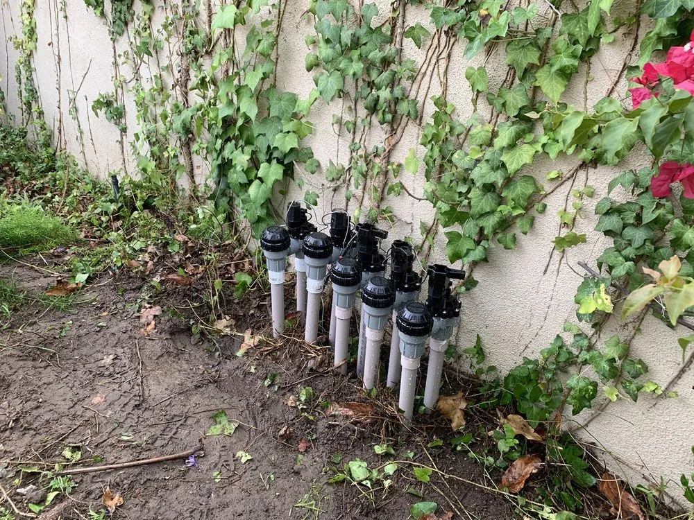 Local lawn care service for homes across Santa Ana, CA - Marins Landscaping