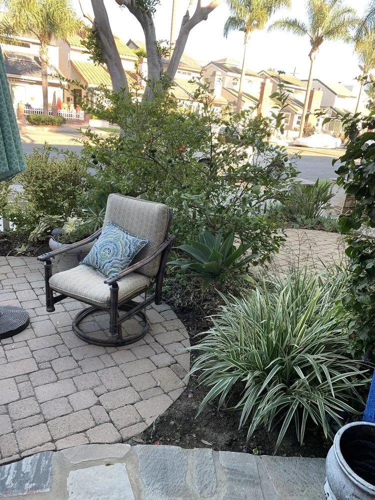 Professional yard maintenance in Santa Ana, CA - Marins Landscaping