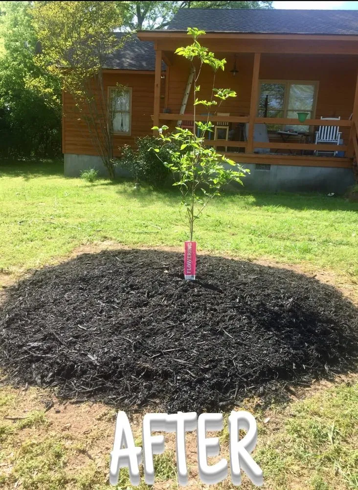 Top-rated lawn mowing service in Rome, GA - Marin's Landscaping Services