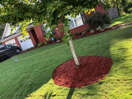 Marin's Landscaping Services