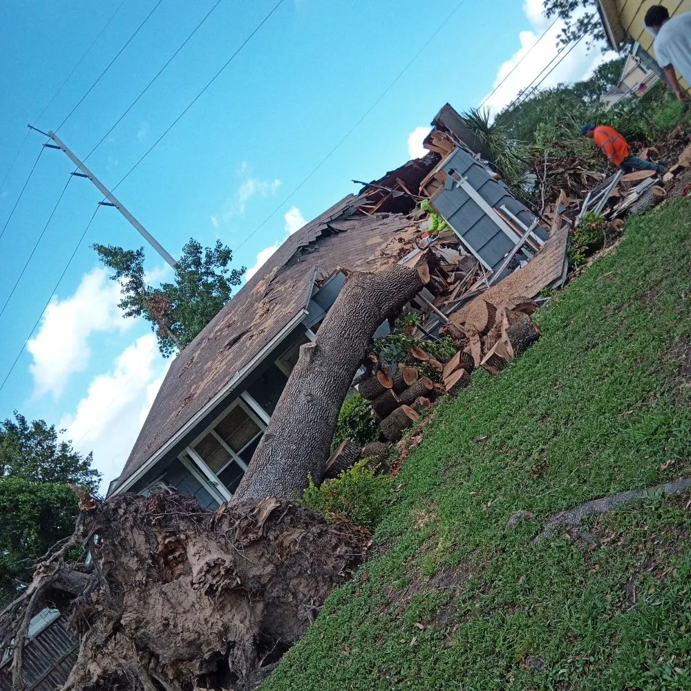 Affordable yard cleanup service in Cleveland, TX by Marin's Remodeling & Lawn Services