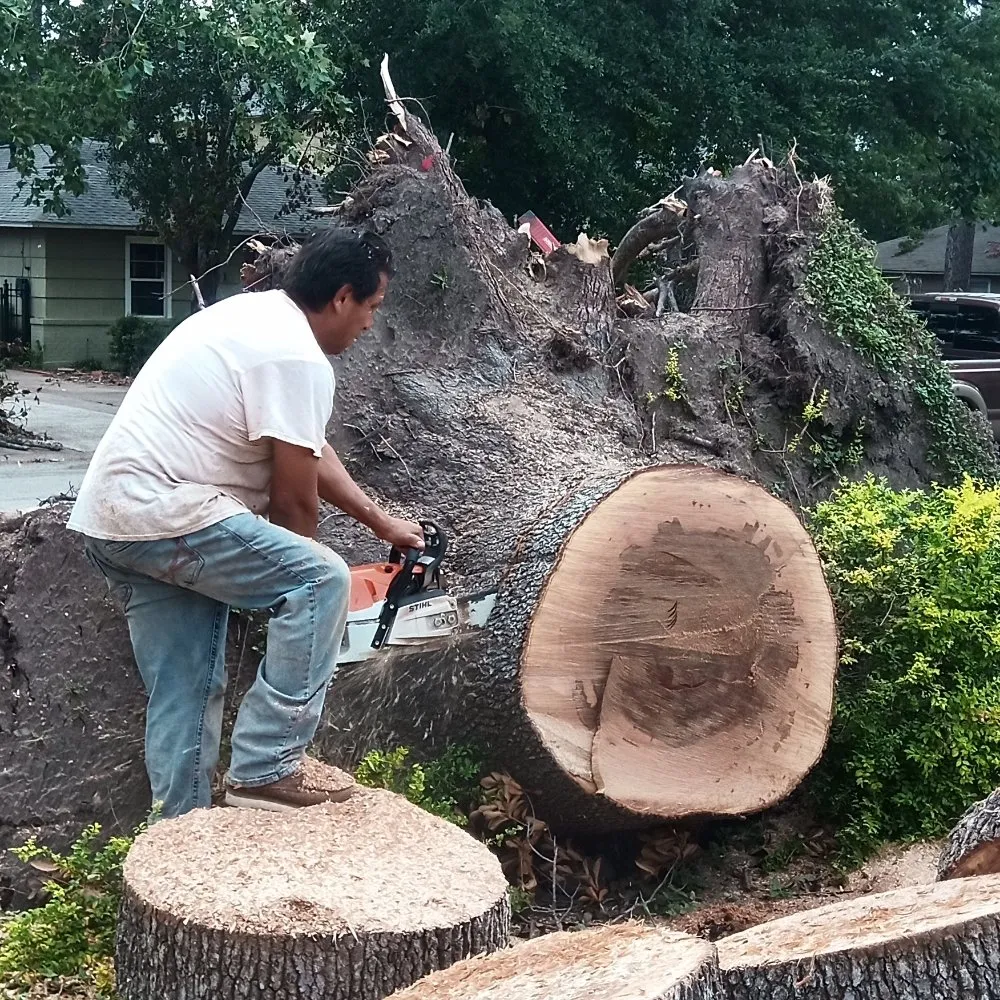 Local residential landscaping for residential properties across Cleveland, TX - Marin's Remodeling & Lawn Services