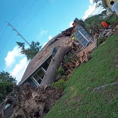 Marin's Remodeling & Lawn Services Logo