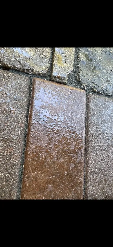 Professional garden landscaping for outdoor upgrades in Woodridge, IL by Mario & Joe Landscaping