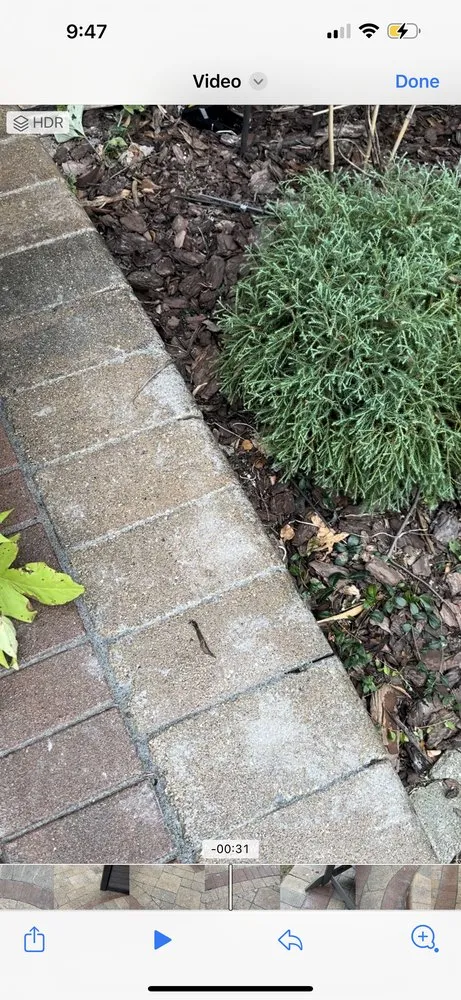 Local landscape installation experts serving Woodridge, IL - Mario & Joe Landscaping