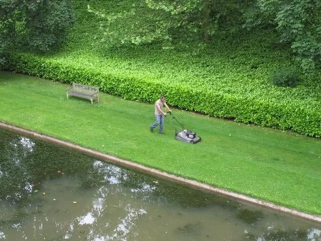 Affordable lawn care service in Camp Verde, AZ - Mario and Mario Landscaping