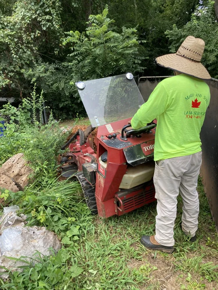 Professional landscape installation for residential properties across Concord, NC - Mario And Sons Stump grinding