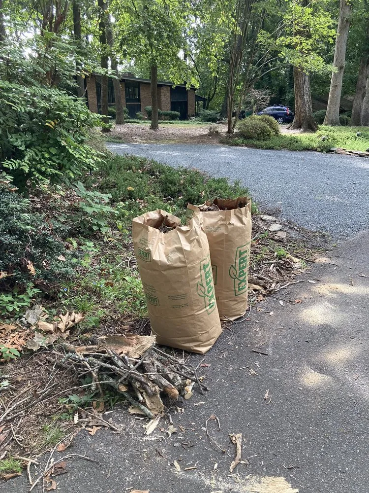 Trusted landscaping services in Concord, NC - Mario And Sons Stump grinding