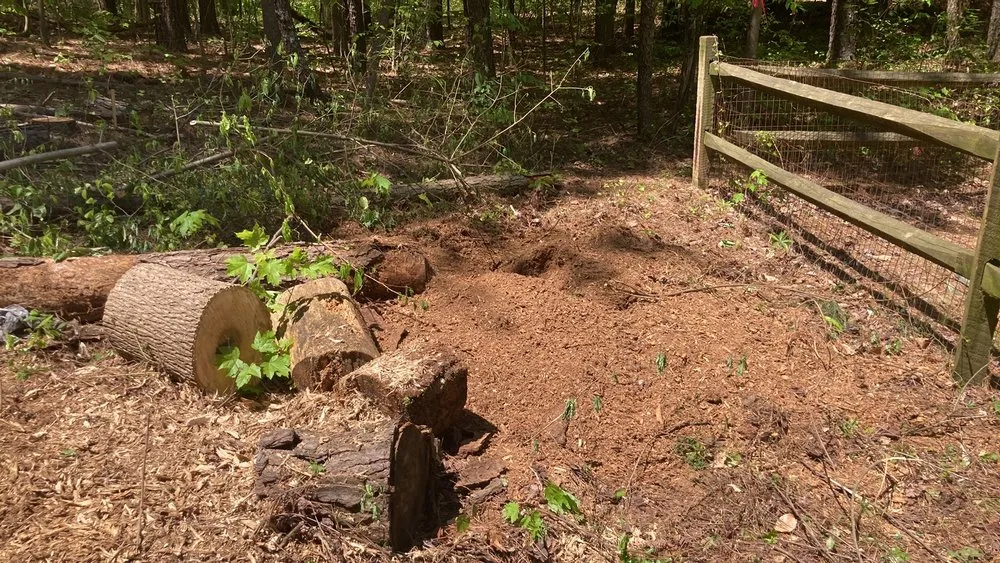Local outdoor landscaping in Concord, NC by Mario And Sons Stump grinding