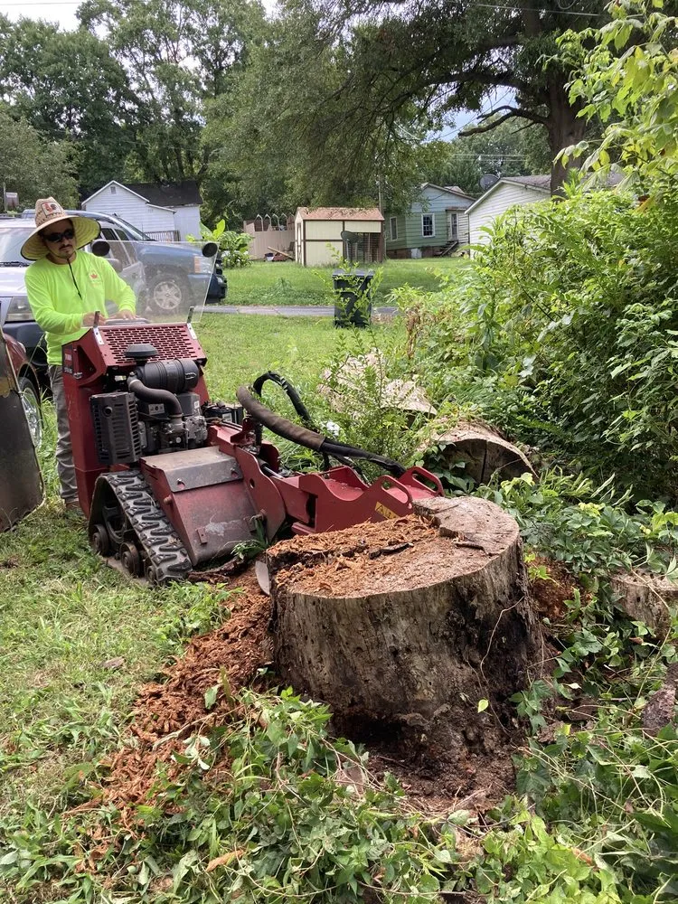 Top-rated landscape design in Concord, NC - Mario And Sons Stump grinding