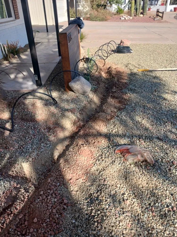 Expert yard maintenance in Surprise, AZ - Mario blessed lawn service