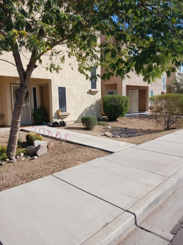 Expert yard cleanup service experts serving Surprise, AZ - Mario blessed lawn service