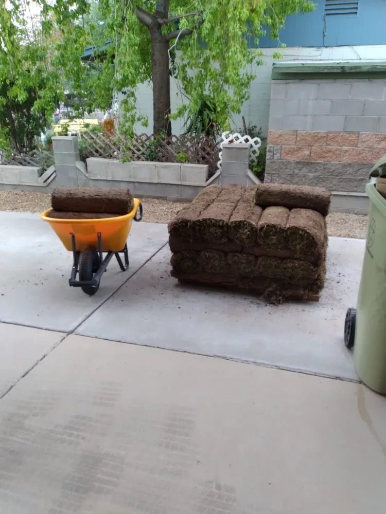 Custom yard maintenance in Surprise, AZ - Mario blessed lawn service