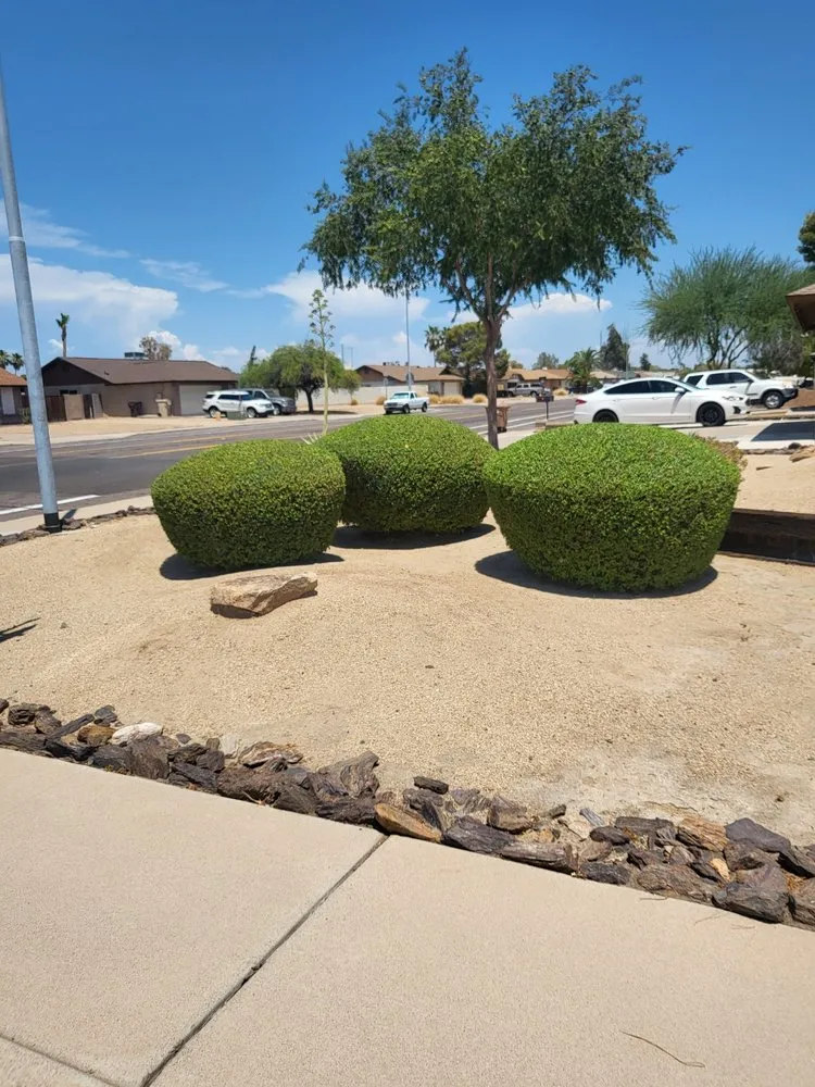 Trusted outdoor landscaping in Surprise, AZ by Mario blessed lawn service