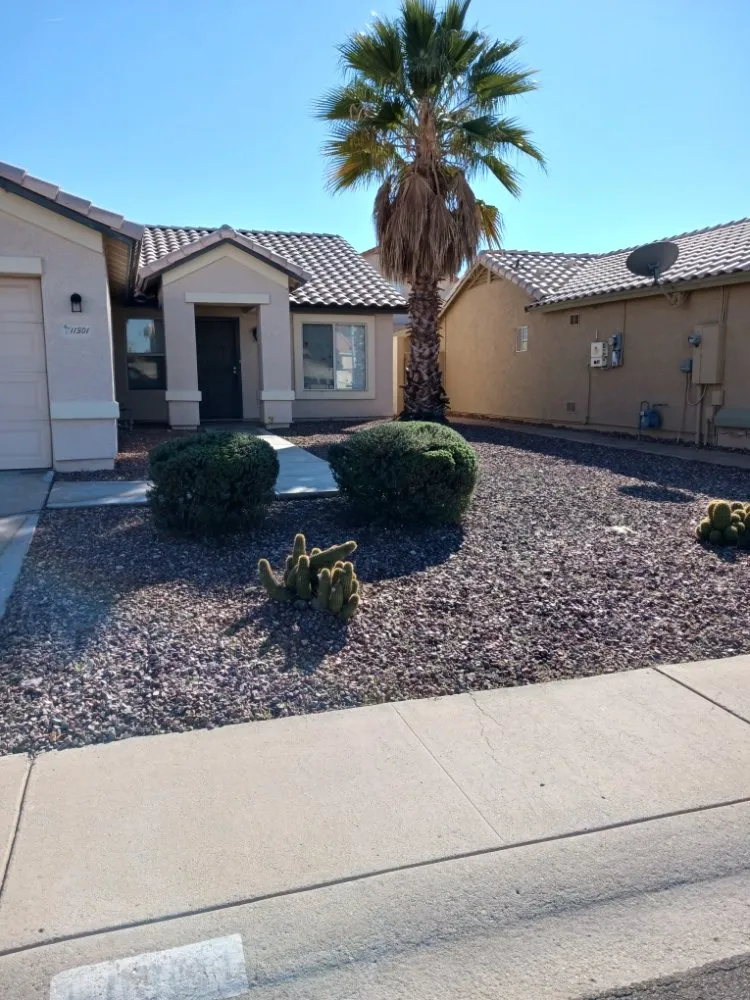 Top-rated lawn care service experts serving Surprise, AZ - Mario blessed lawn service