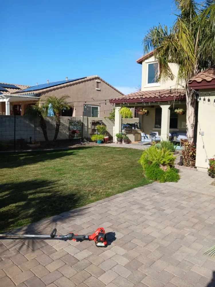 Professional landscape installation with custom design in Surprise, AZ by Mario blessed lawn service