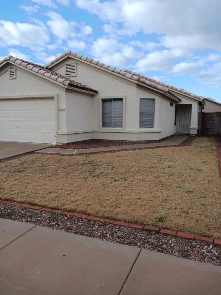 Top-rated outdoor landscaping for year-round maintenance across Surprise, AZ - Mario blessed lawn service