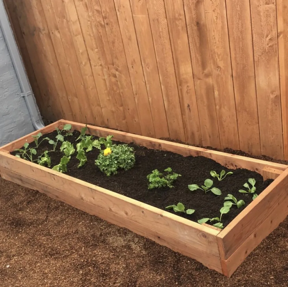 Trusted garden landscaping for homes across Hayward, CA - Mario Cisneros